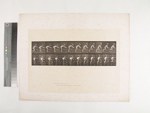 Animal Locomotion. Plate 480.