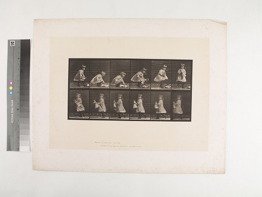 Animal Locomotion. Plate 481.