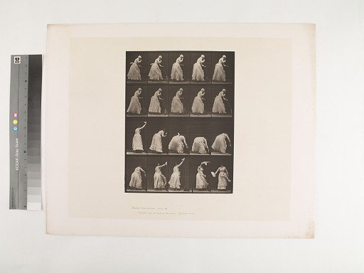 Animal Locomotion. Plate 484.