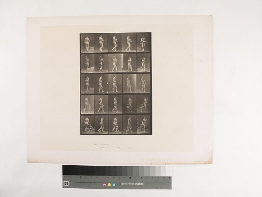 Animal Locomotion. Plate 528.