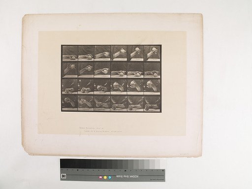 Animal Locomotion. Plate 534.