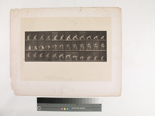 Animal Locomotion. Plate 538.