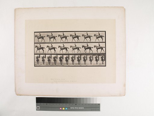 Animal Locomotion. Plate 580.