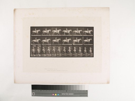 Animal Locomotion. Plate 582.