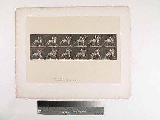 Animal Locomotion. Plate 589.