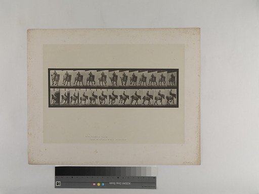Animal Locomotion. Plate 629.