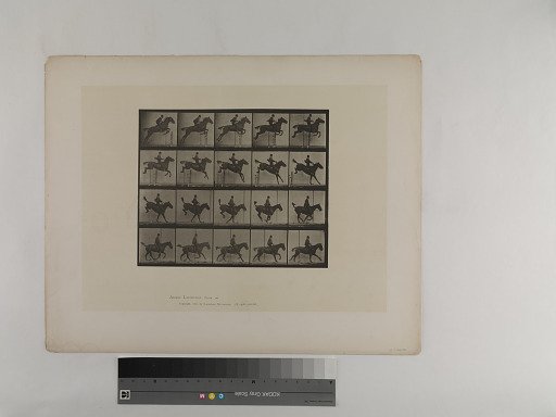 Animal Locomotion. Plate 637.
