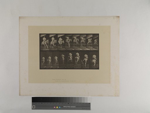 Animal Locomotion. Plate 644.