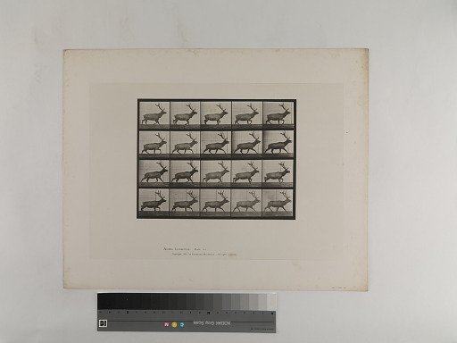 Animal Locomotion. Plate 692.
