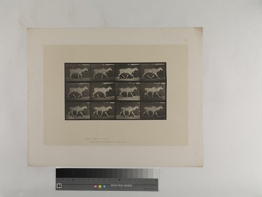 Animal Locomotion. Plate 696.