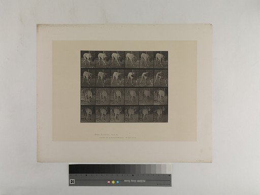Animal Locomotion. Plate 703.