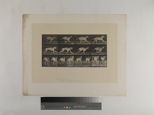 Animal Locomotion. Plate 707.