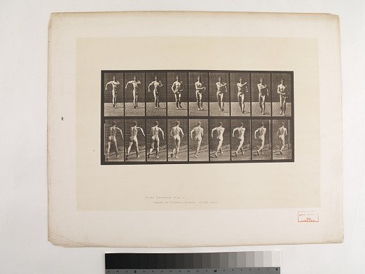 "Animal Locomotion. Plate 3."; Male, Walking