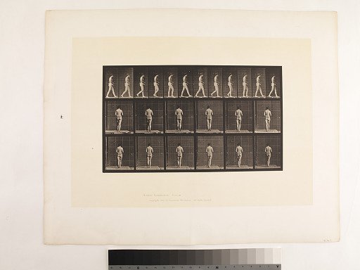 "Animal Locomotion. Plate 21."; Female, Walking, both elbows bent