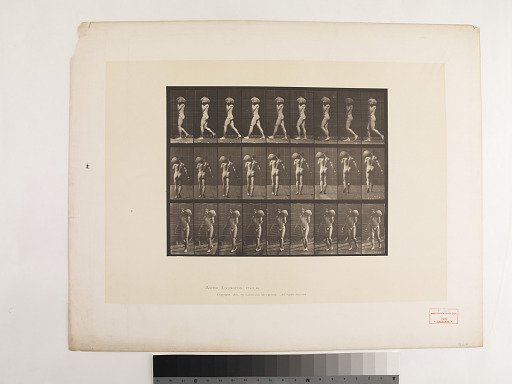 "Animal Locomotion. Plate 26."; Male, Walking, carrying 75-lb. stone on left shoulder