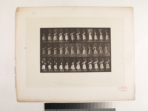 "Animal Locomotion. Plate 57."; Female, Walking turning around, 10lb. basket on head