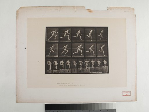 "Animal Locomotion. Plate 63."; Male, Running full speed