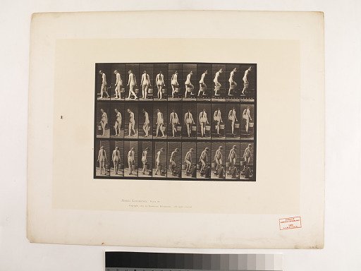 Animal Locomotion. Plate 102.