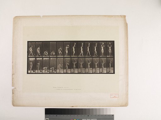 Animal Locomotion. Plate 222.