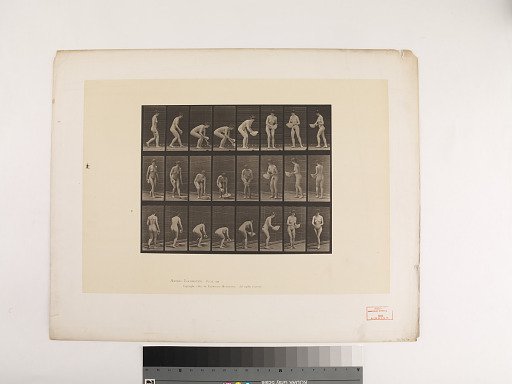 Animal Locomotion. Plate 223.