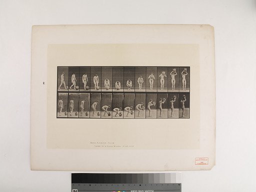 Animal Locomotion. Plate 224.