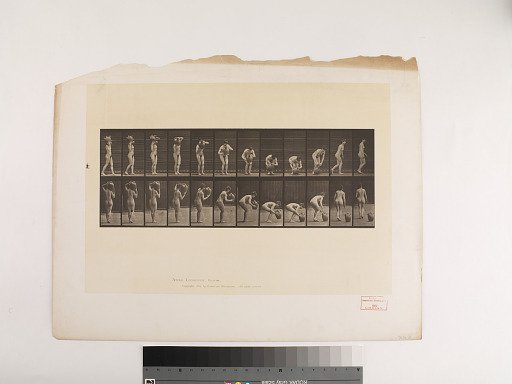 Animal Locomotion. Plate 225.