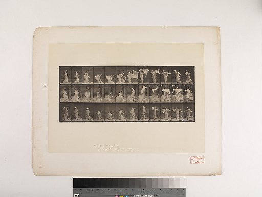 Animal Locomotion. Plate 233.