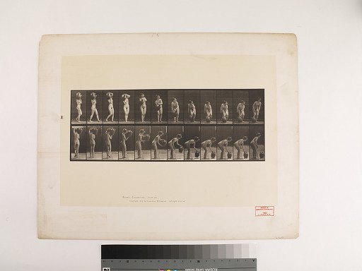 Animal Locomotion. Plate 235.