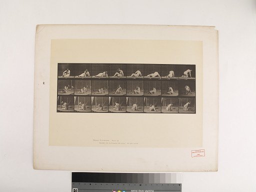 Animal Locomotion. Plate 266.