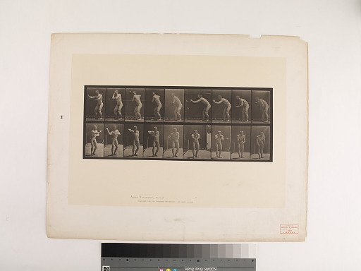 Animal Locomotion. Plate 281.