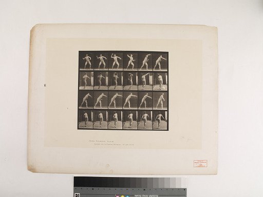 Animal Locomotion. Plate 286.