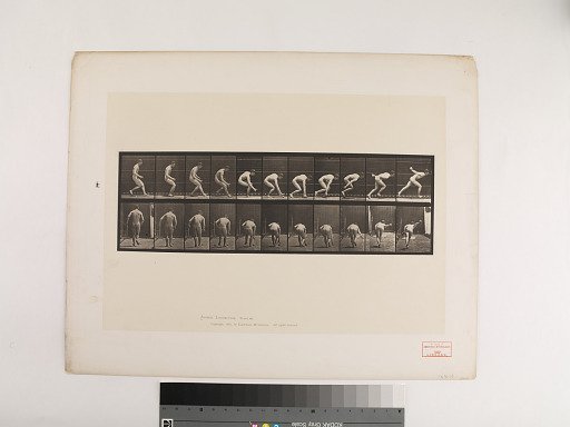 Animal Locomotion. Plate 287.