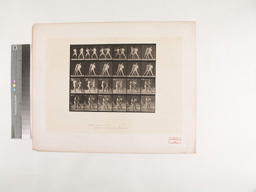 Animal Locomotion. Plate 330.