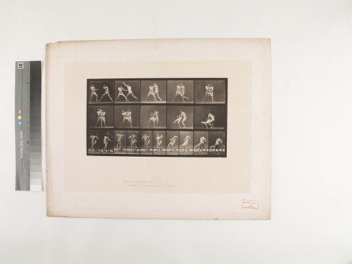Animal Locomotion. Plate 331.