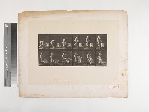 Animal Locomotion. Plate 406.