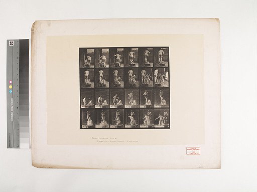 Animal Locomotion. Plate 407.