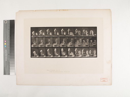 Animal Locomotion. Plate 408.