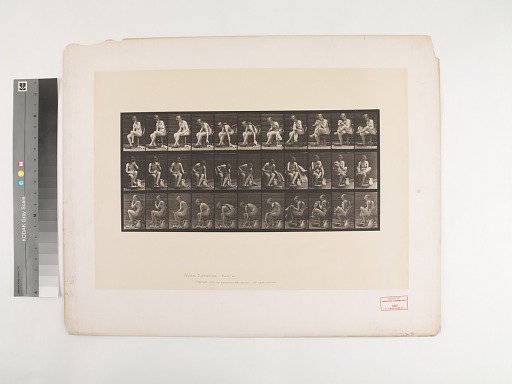 Animal Locomotion. Plate 411.