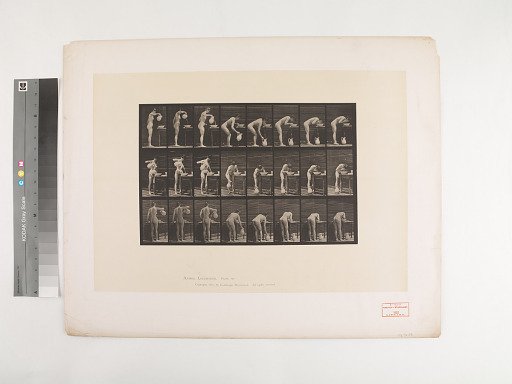 Animal Locomotion. Plate 413.