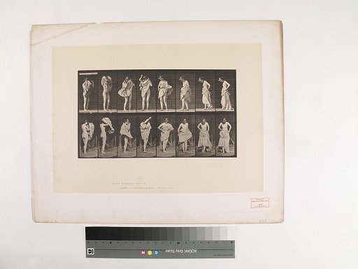 Animal Locomotion. Plate 425.