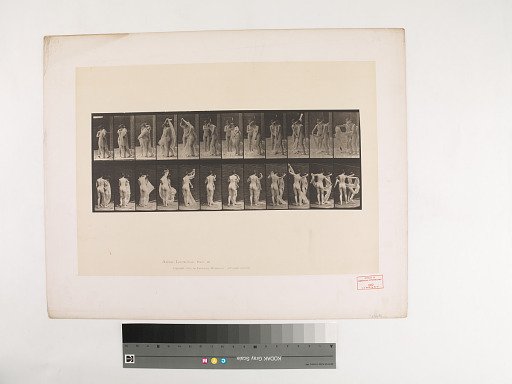 Animal Locomotion. Plate 428.