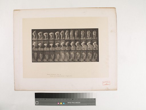 Animal Locomotion. Plate 433.