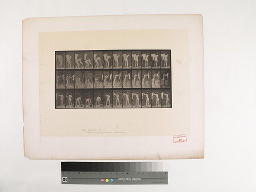 Animal Locomotion. Plate 434.