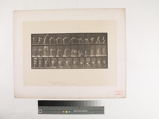 Animal Locomotion. Plate 439.