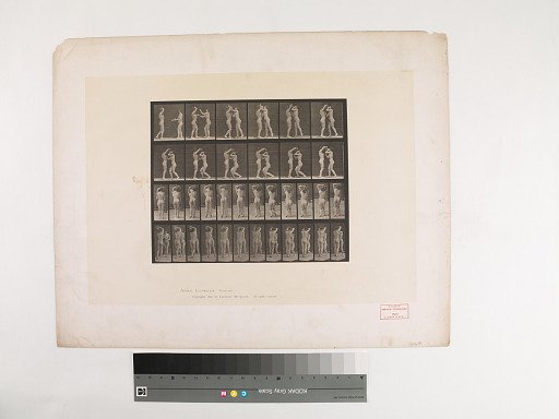 Animal Locomotion. Plate 445.