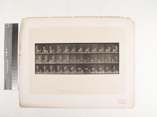Animal Locomotion. Plate 449.