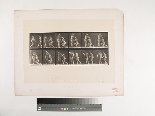 Animal Locomotion. Plate 452.