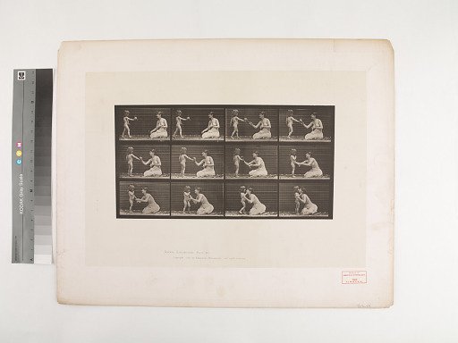 Animal Locomotion. Plate 465.