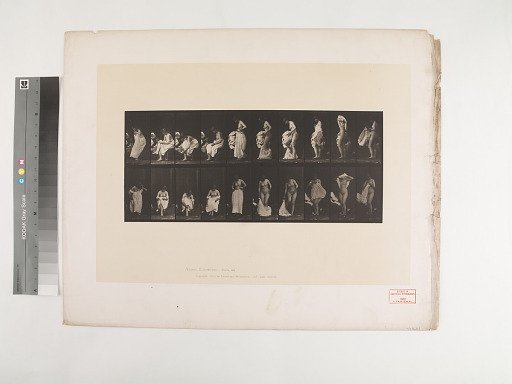 Animal Locomotion. Plate 498.