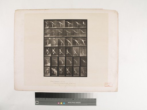 Animal Locomotion. Plate 523.